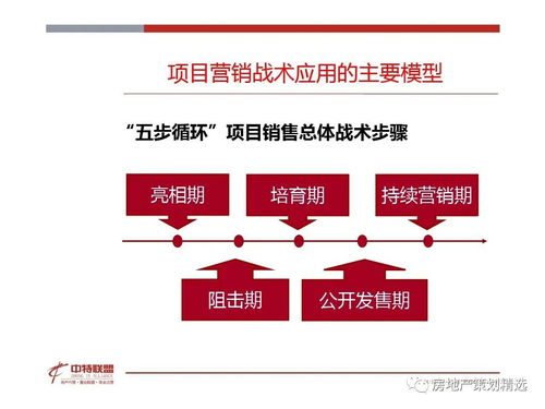 房地產(chǎn)營銷策劃 思路精髓與實踐指南